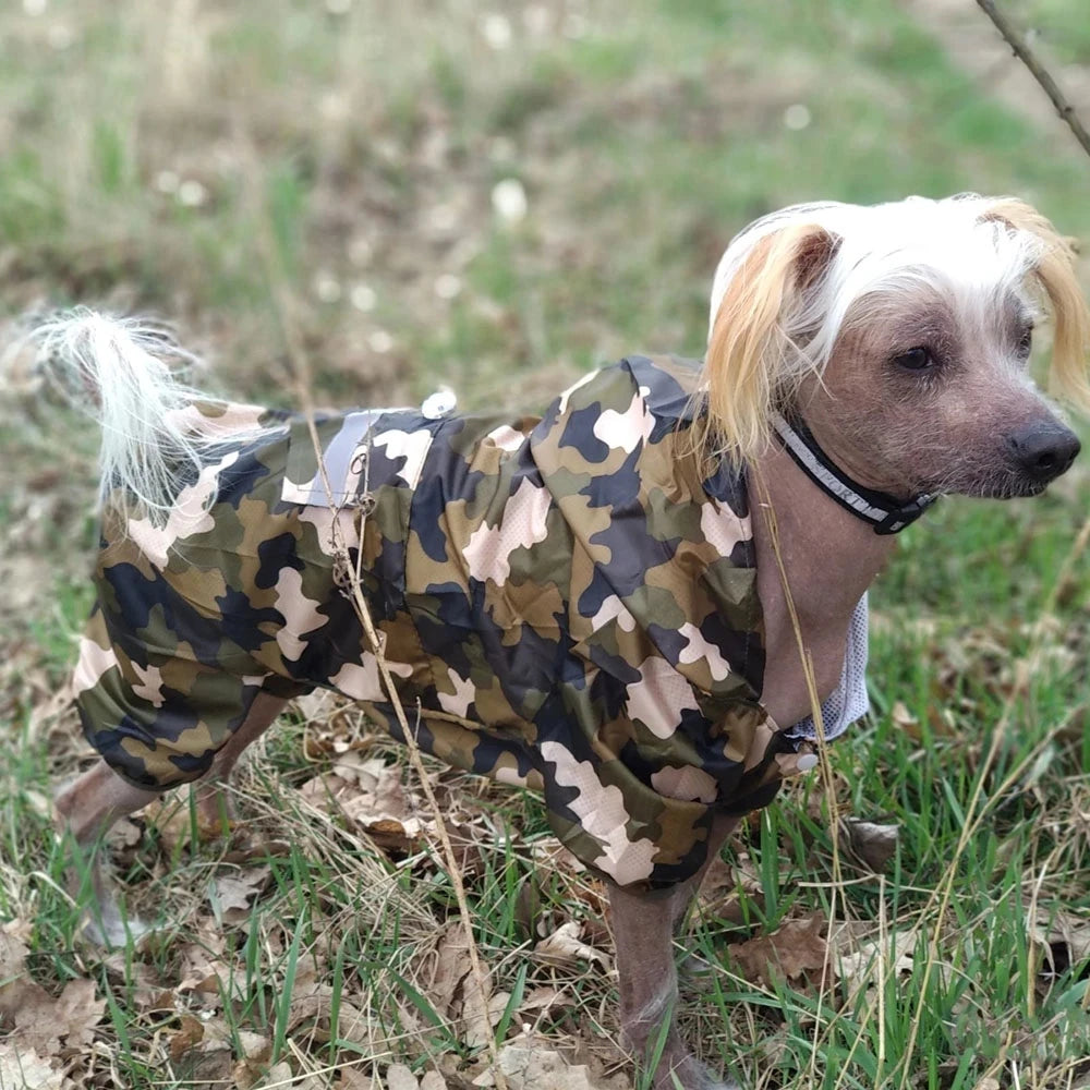 Impermeable para Perros con Capucha, Mono de Lluvia Reflectante con Malla Transpirable, Poncho Ligero para Cachorros Pequeños para Uso en Exteriores