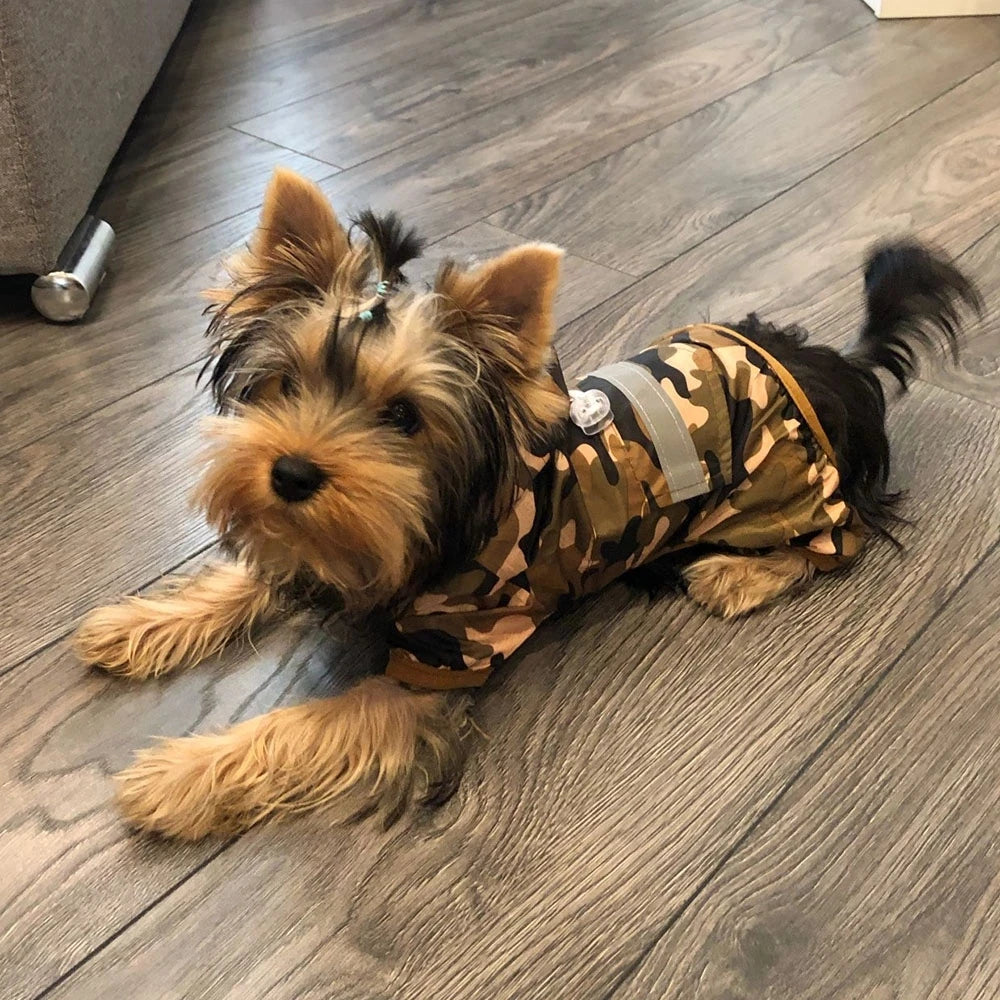 Impermeable para Perros con Capucha, Mono de Lluvia Reflectante con Malla Transpirable, Poncho Ligero para Cachorros Pequeños para Uso en Exteriores