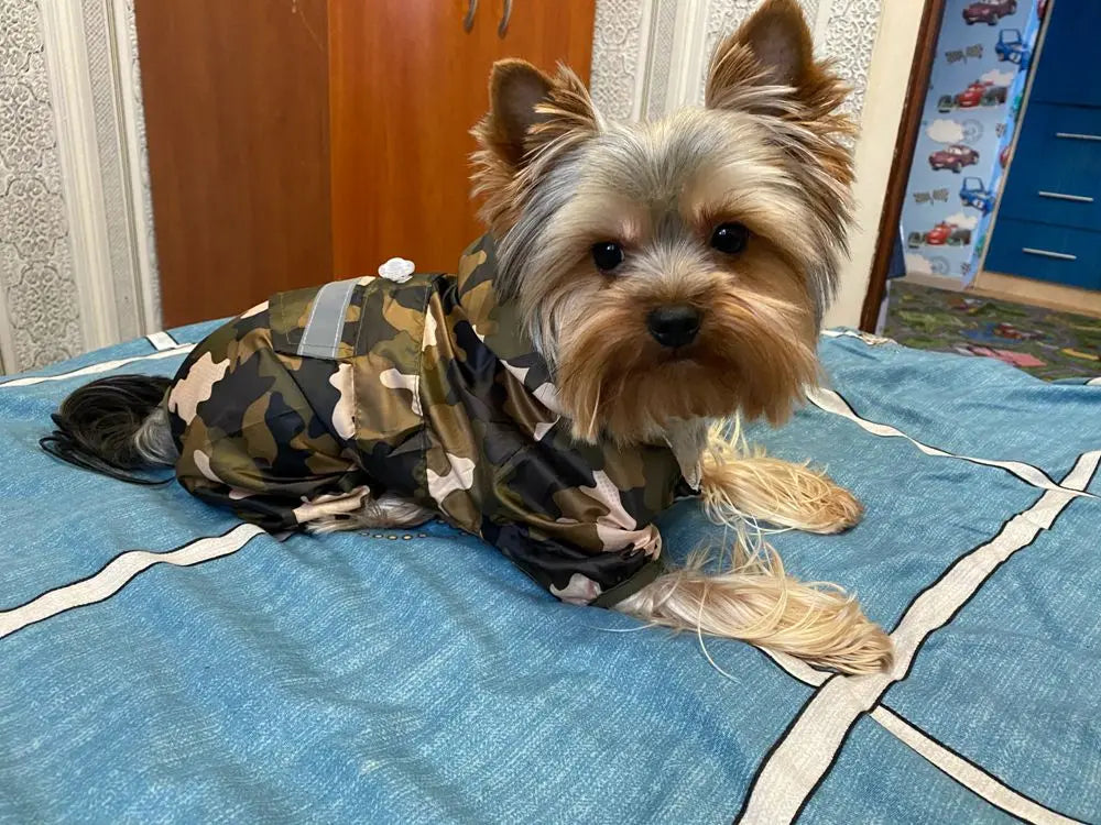 Impermeable para Perros con Capucha, Mono de Lluvia Reflectante con Malla Transpirable, Poncho Ligero para Cachorros Pequeños para Uso en Exteriores