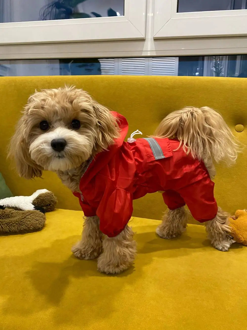 Impermeable para Perros con Capucha, Mono de Lluvia Reflectante con Malla Transpirable, Poncho Ligero para Cachorros Pequeños para Uso en Exteriores